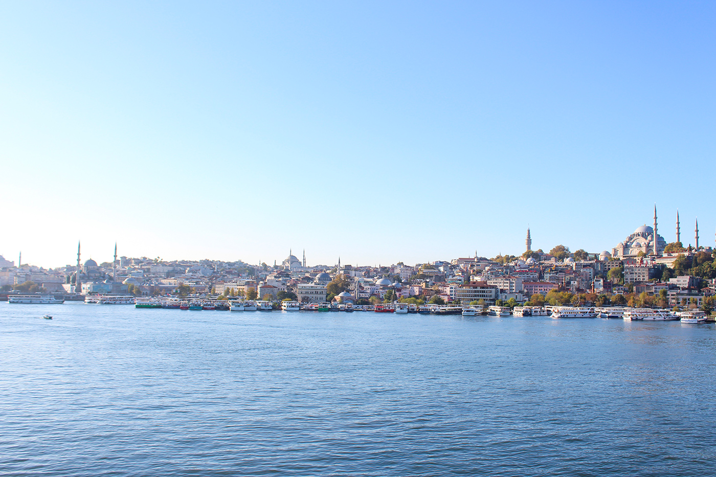 Exploring the bustling city of Istanbul