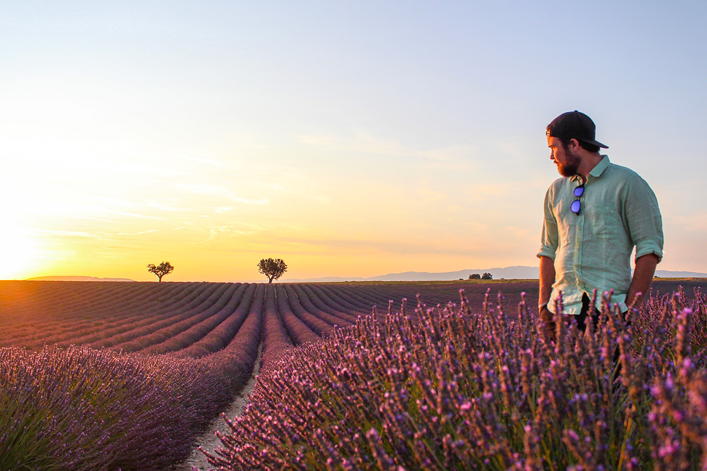 Whirlwind two days in Valensole, Provence